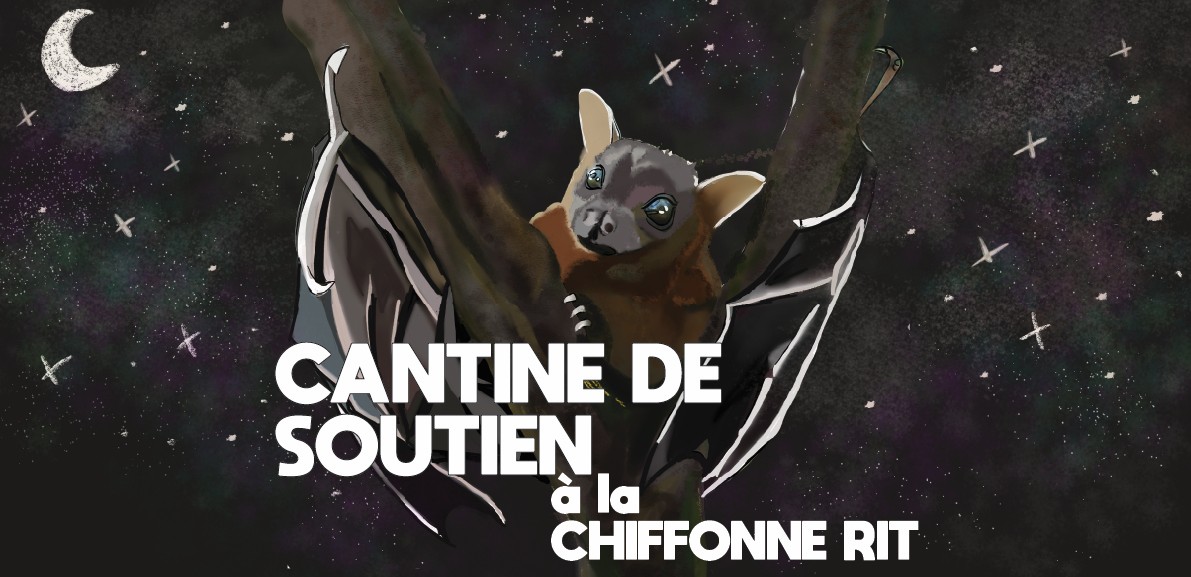 Cantine en soutien à la Chiffo pour le 13/12