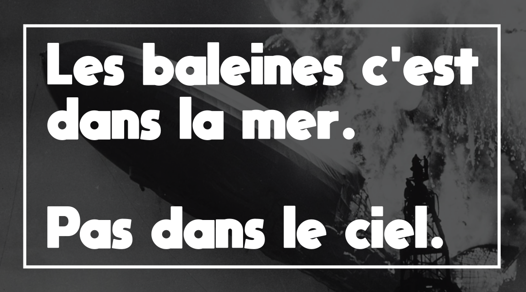 Les baleines c&rsquo;est dans la mer. Pas dans le ciel.